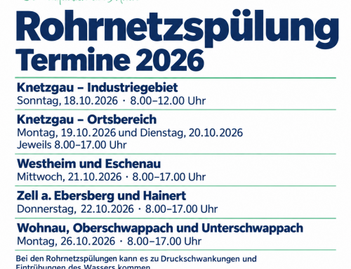 Rohrnetzspülungen 2026